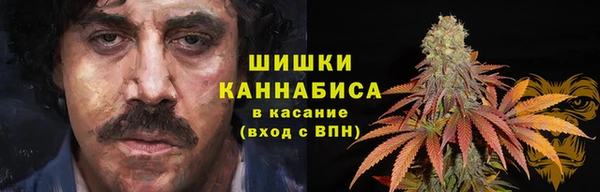соль ск Абаза