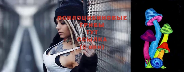 прущие крисы Абинск