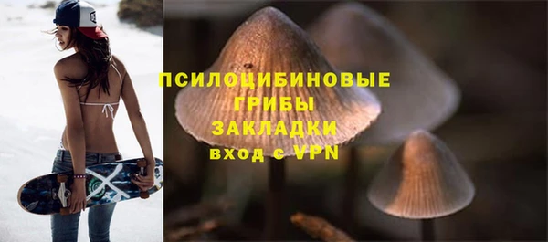 прущие крисы Абинск