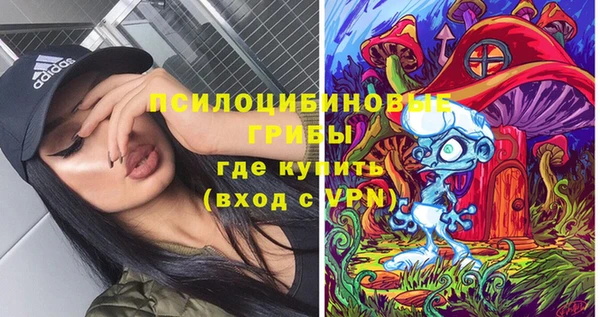 прущие крисы Абинск