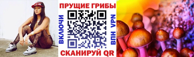 Галлюциногенные грибы GOLDEN TEACHER  darknet телеграм  Красково 